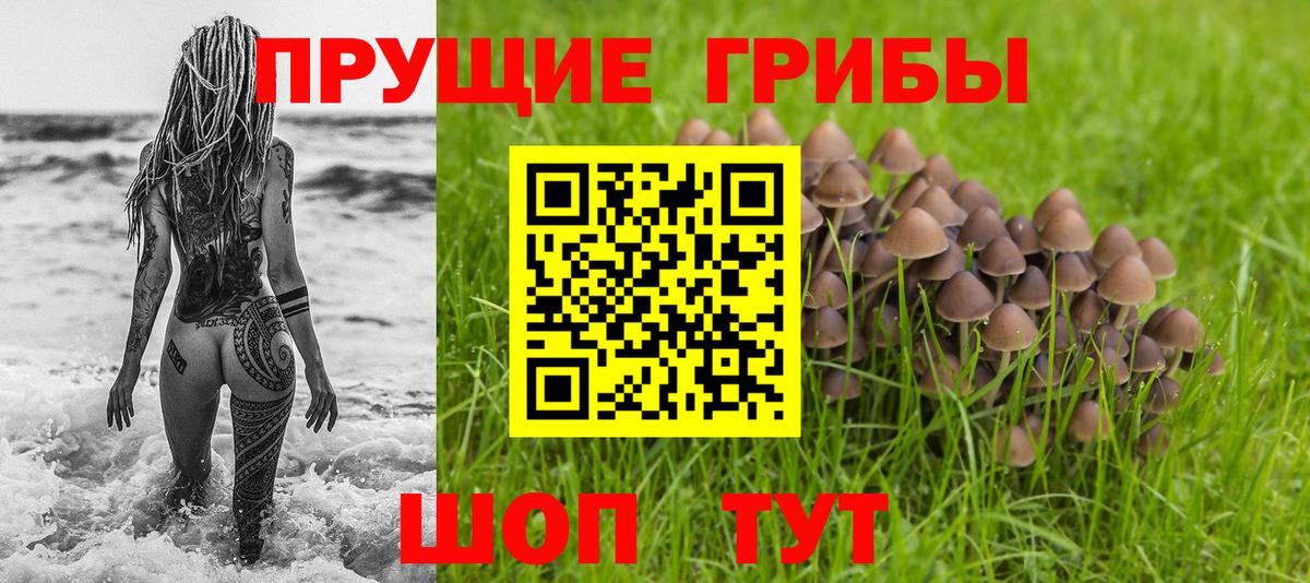 Псилоцибиновые грибы мухоморы Камень-на-Оби